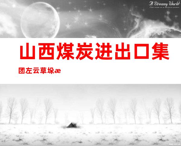 山西煤炭进出口集团左云草垛沟煤业有限公司