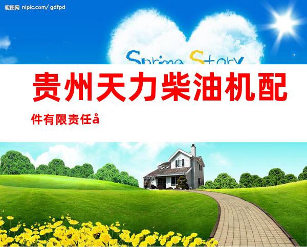 贵州天力柴油机配件有限责任公司