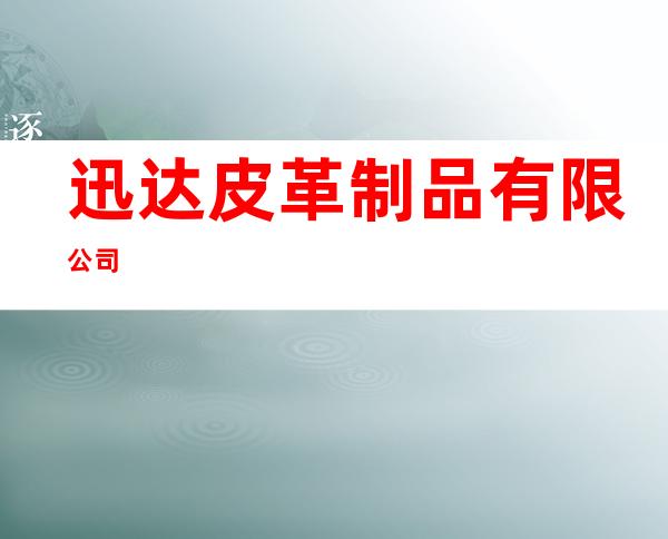迅达皮革制品有限公司
